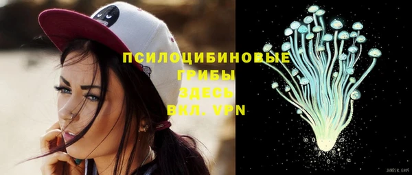гашик Медвежьегорск