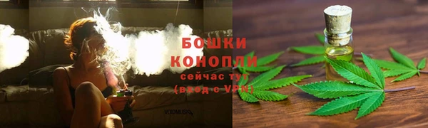 МДПВ Михайлов