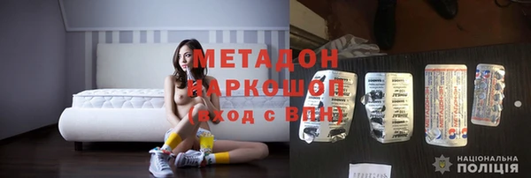 прущие грибы Рославль