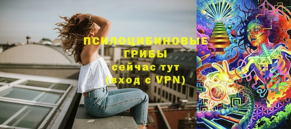 МДПВ Михайлов