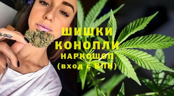МДПВ Михайлов