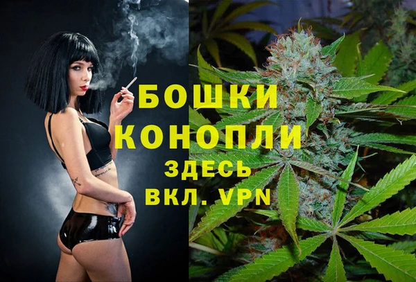 гашик Медвежьегорск