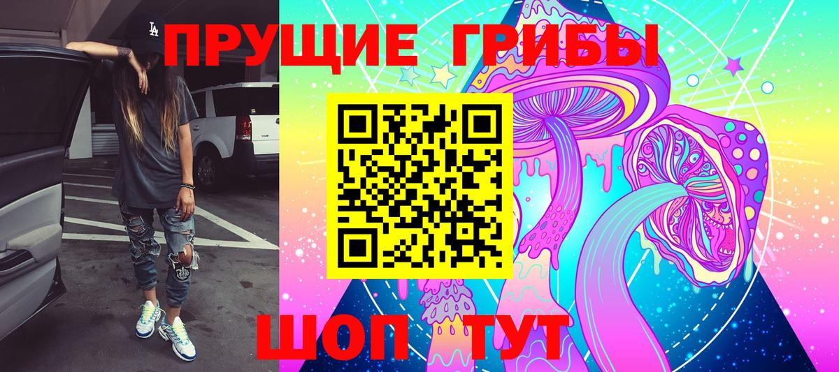 Галлюциногенные грибы Psilocybe Абакан