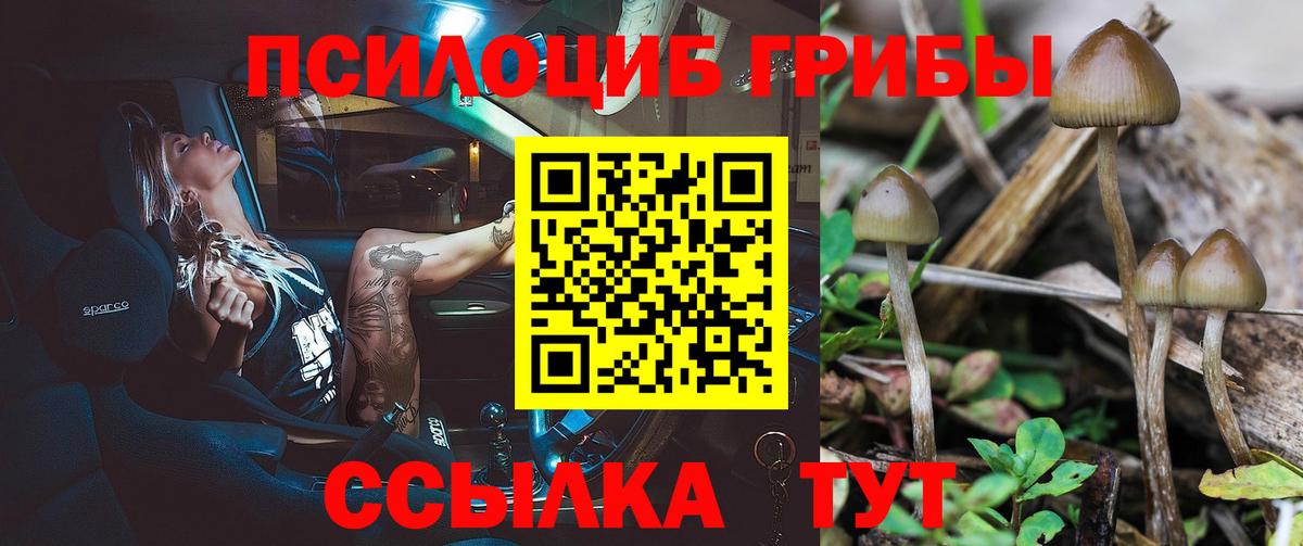 Псилоцибиновые грибы мицелий  Абакан  Псилоцибиновые грибы Magic Shrooms 
