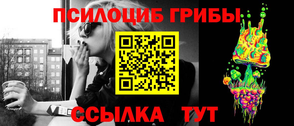 Псилоцибиновые грибы Psilocybe Абакан