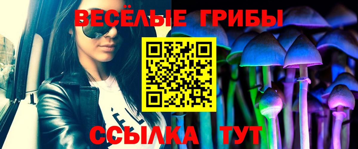 Абакан  Псилоцибиновые грибы прущие грибы  хочу   Вход с VPN 